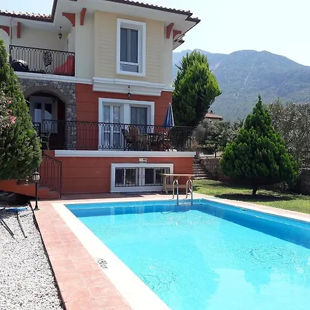 Villa Dolphin Ovacik