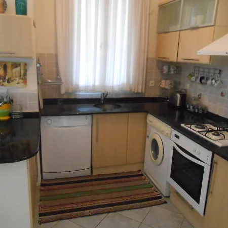 Villa Dolphin Ovacik *